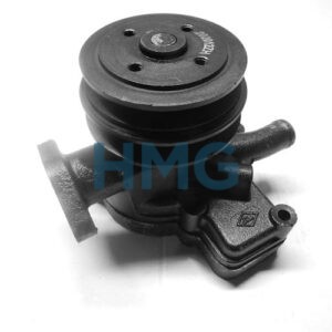 HMG-273.100 JIANGDONG WATER PUMP TY295.12-1