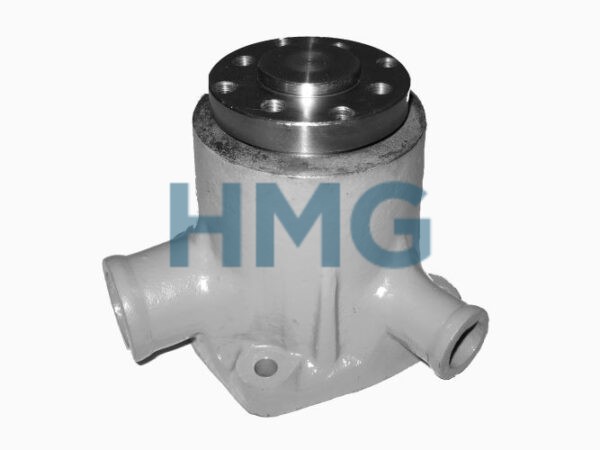 HMG-139.106 FENDT WATER PUMP F382200610020, 622807310155, 72424162