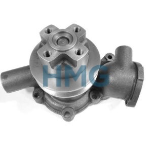 HMG-126.108 DAVID BROWN WATER PUMP 53139, 34256